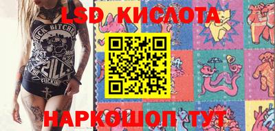 твердый Новодвинск