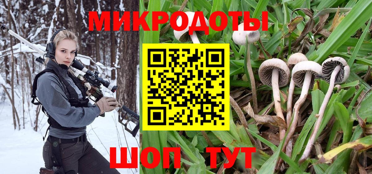 Галлюциногенные грибы мухоморы  как найти закладки  Псилоцибиновые грибы Psilocybe  Солнечногорск  Вход с VPN 